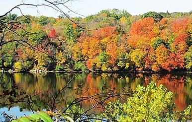 11-10-16-Miss-R-Myers