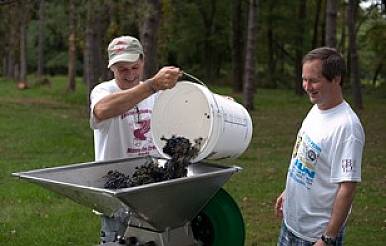 11-17-16-moore-grapes