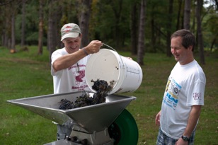 Crushing grapes